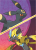 Pokémon TCG: 30th Celebration - Battle Deck - Umbreon ex