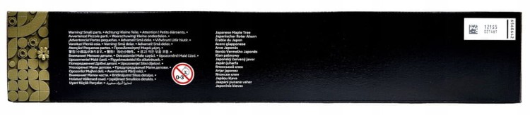 LEGO Botanicals Klon palmowy bonsai 10348